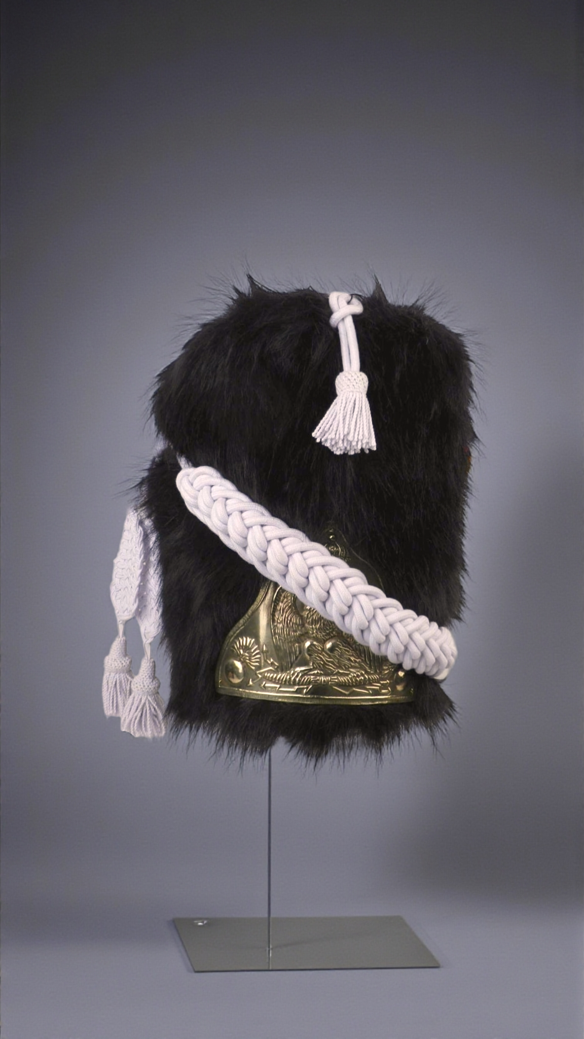 Napoleonic French Imperial officer Shako Hat & accessories